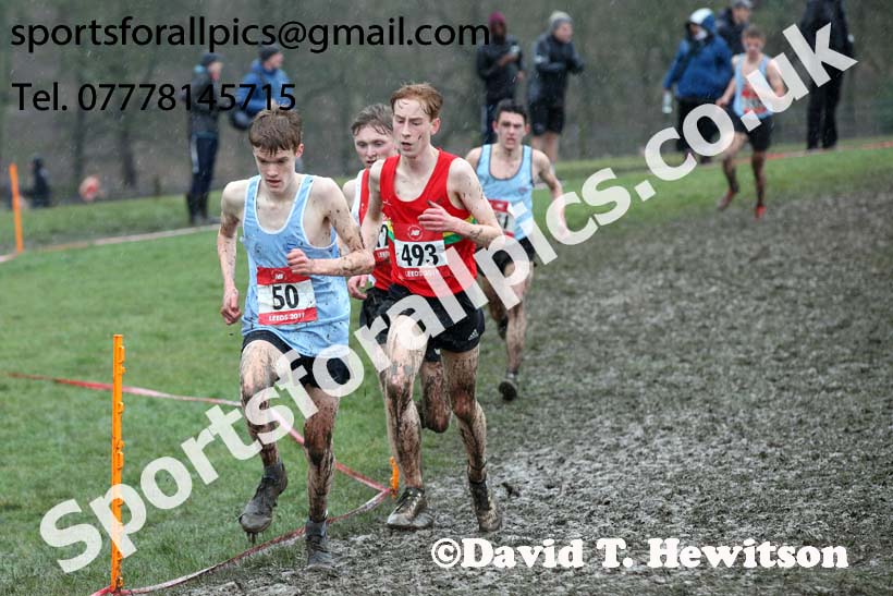 Senior boys 2019 New Balance English Schools Cross Country Champs, Temple Newsam, Leeds. Photo:  David T. Hewitson/Sports for All Pics